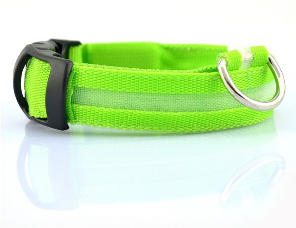 Nylon LED Pet Dog Luminous Collar Night Safety Flashing Glow in Dark Dog Cat Leash Adjustable Pet Supplies - Image 3