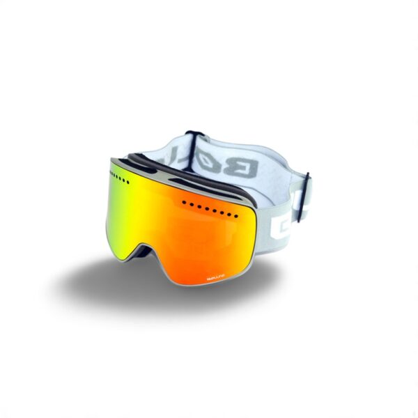 Ski goggles double ski goggles